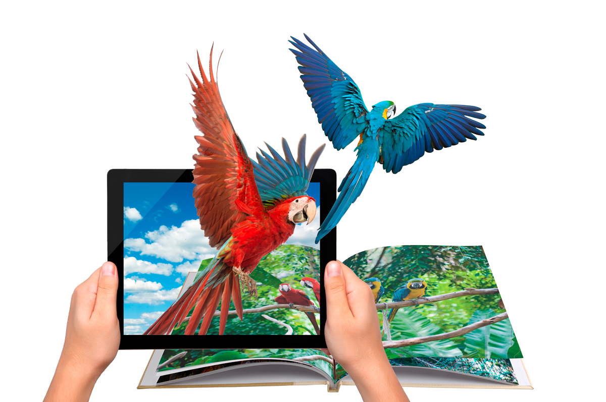 ar_birds